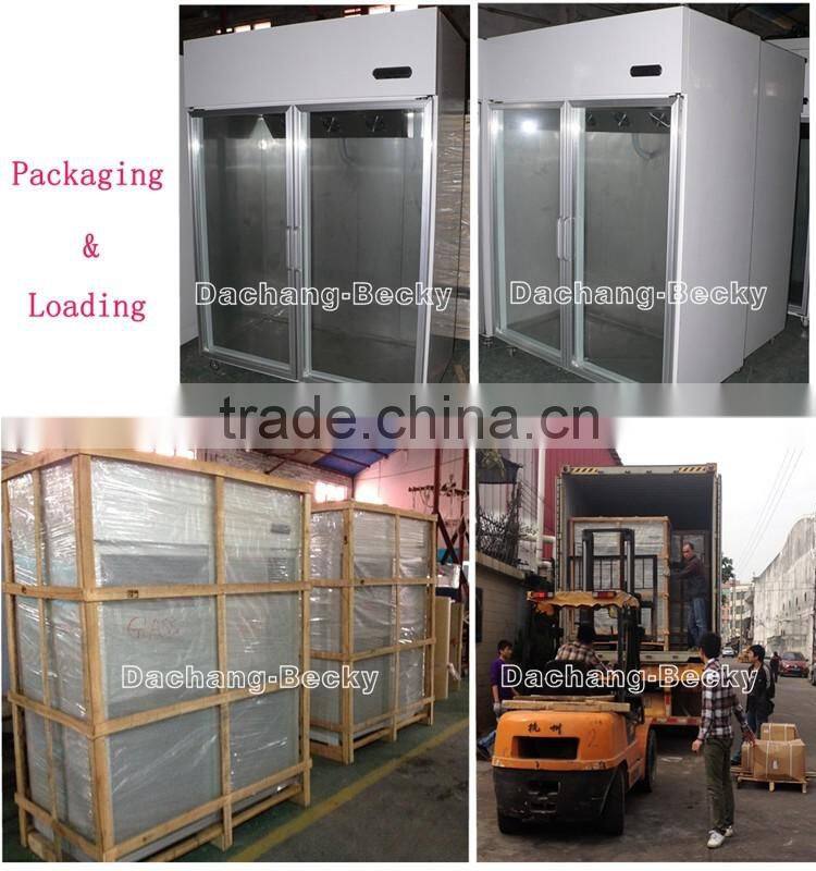 Upright ice merchandiser with 2-glass door bagged ice storage bin temp -12degree C