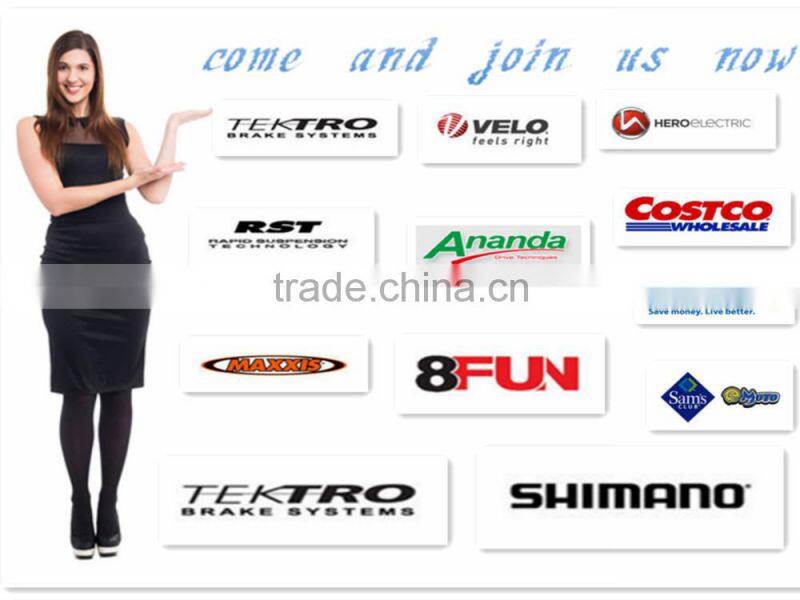 importer pedal assisted electric tricycle china for adult