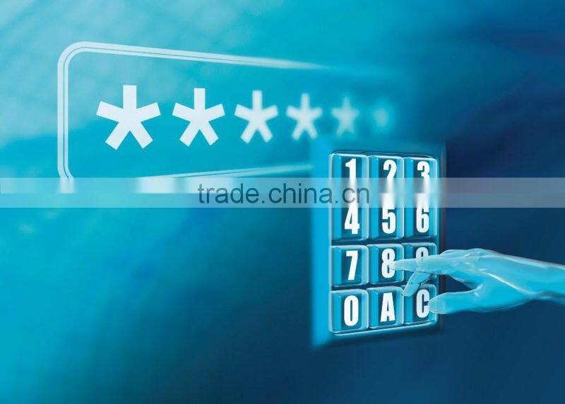 ISO standard 86*54mm or on demand PVC LCD Display Cards