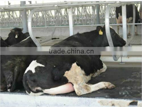cow rest equipment,cow lying bar,adjustable free stall