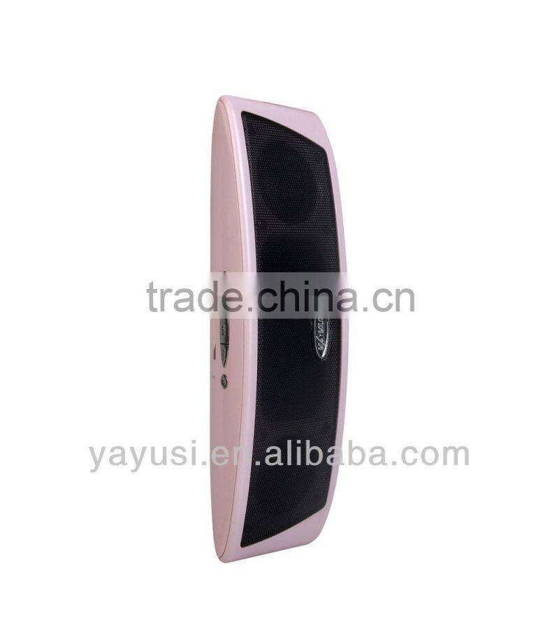 Portable FM speaker support SD/TF card