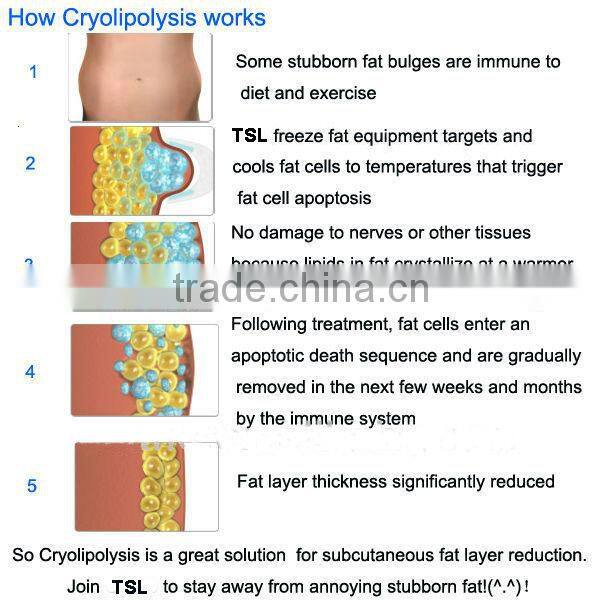 Special Price! portable cryolipolysis zerona,vacuum slimming equipment, criolipolisis machine