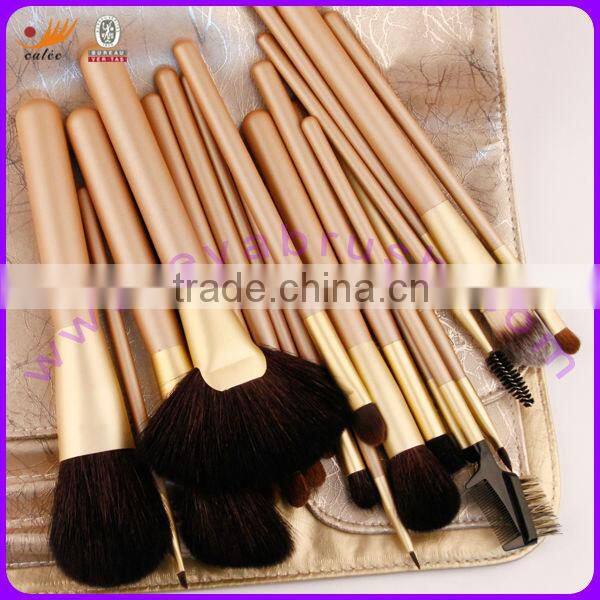 Professional Cosmetic Brush Set With 21Pcs