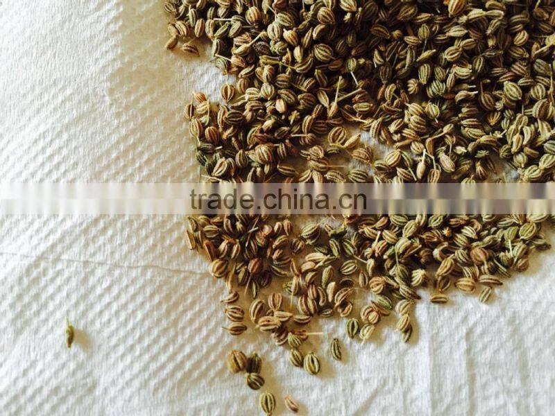 Ajwain Seed
