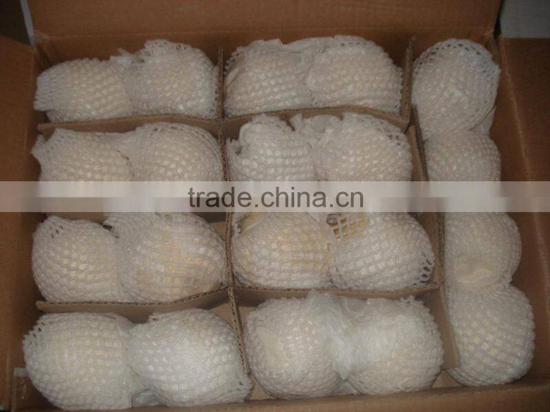 2015 new crop fresh pears bulk purchase