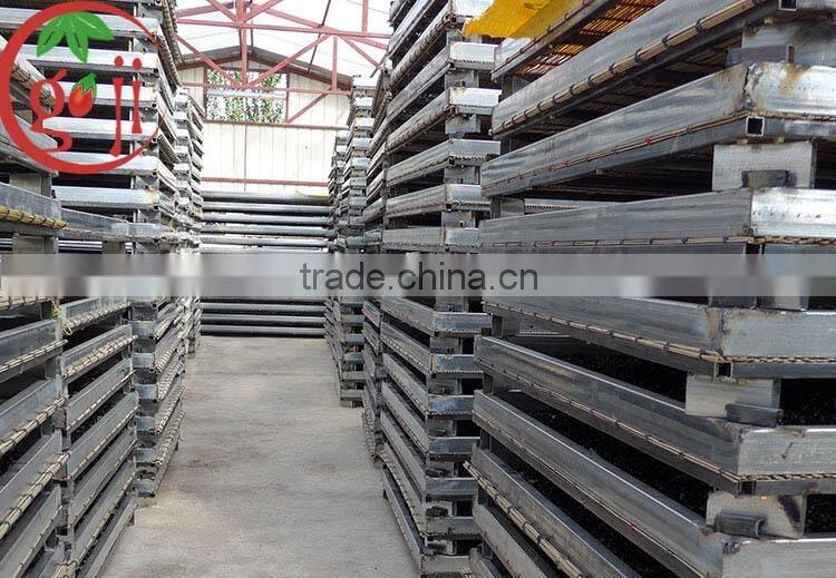 Manfacturer supply Chinese Black Goji Berries