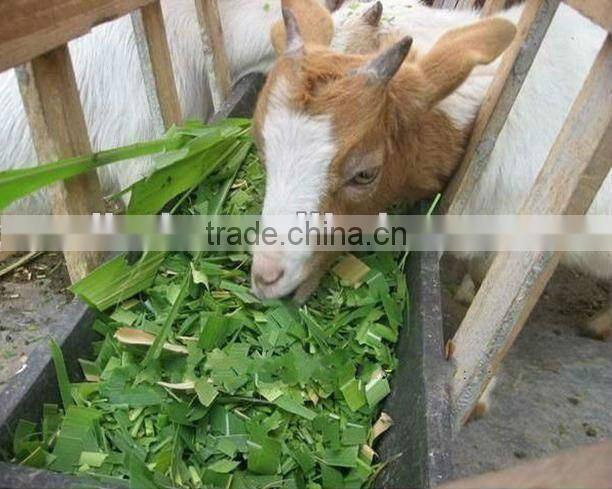combined straw cutter and crusher