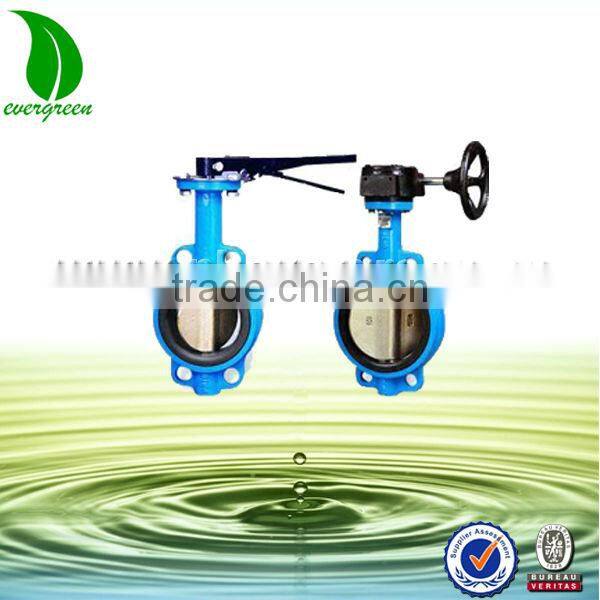 Worm Gear Actuated Flange Butterfly Valve