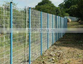 Hot sales!!! galvanized and pvc coated Welded Wire Mesh