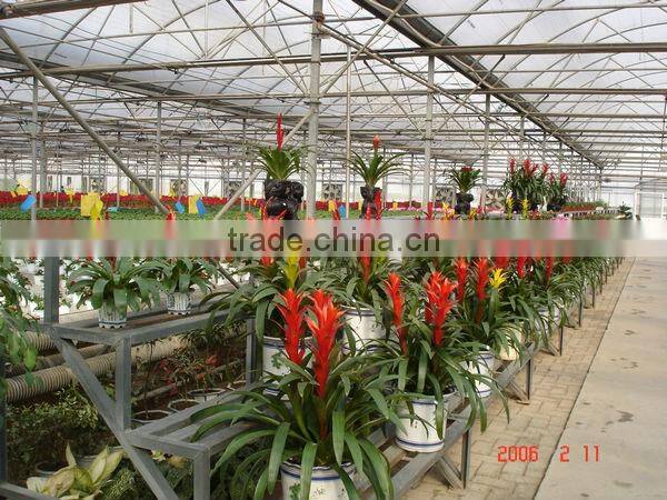 Arch greenhouse