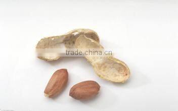 CSPM 2016 new hot sale 4-5t/h peanut shell pellet machine