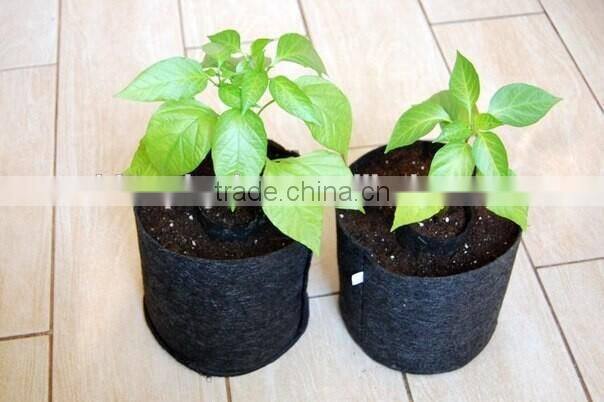 greenhouse using plant bag/ disposal planting bags/ garden bag