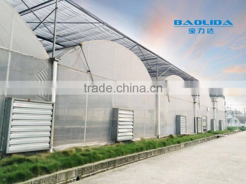 greenhouses steel frame
