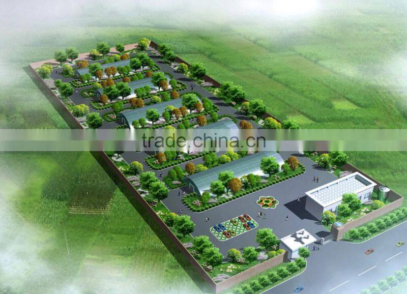 Factory Price Plastic Angricultural Greenhouses For Sale