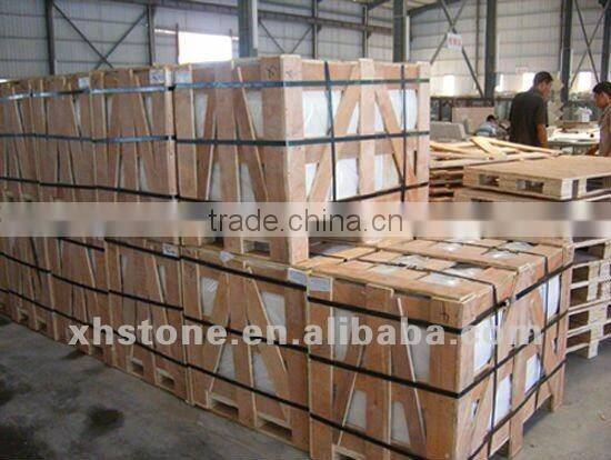 natural decotative semicassis inornata seashell for sale