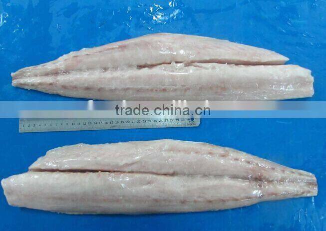 Frozen Mahi-mahi and Coryphaena hippurus fillet