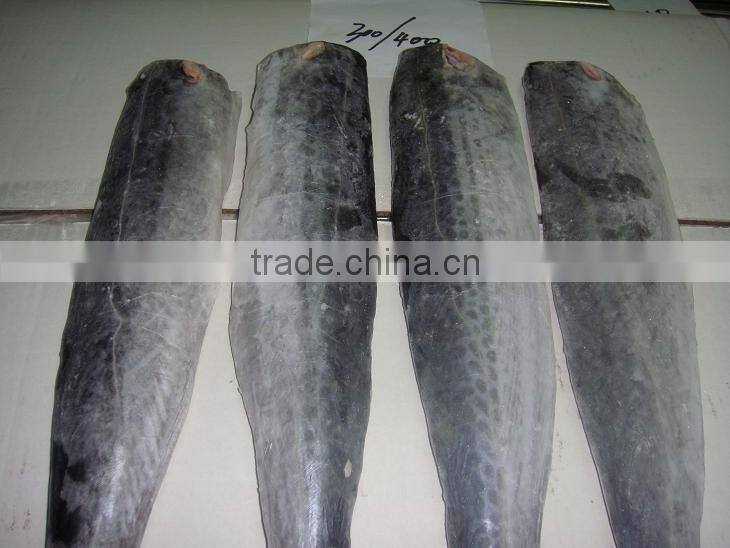 Frozen Spanish Mackerel Fillet