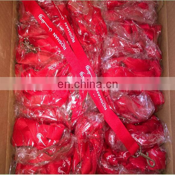 Personalized Printed Lanyards with Logo, Custom Cheap Funny Lanyards