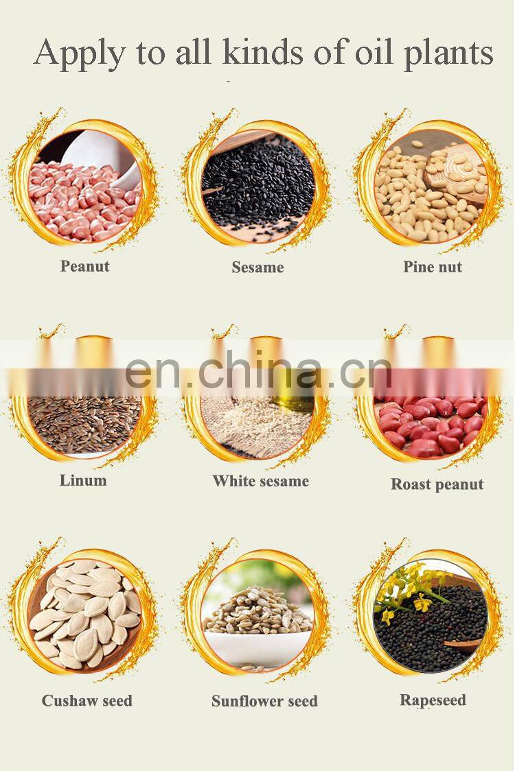 2018 fair recommend stainless steel walnut oil extracting machine oil press machine