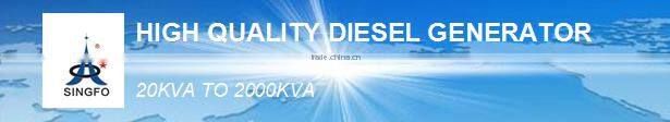 Singfo High Performance Professional Dynamo Diesel Engine