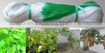 Agriculture Greenhouse Plastic Seeding Tray
