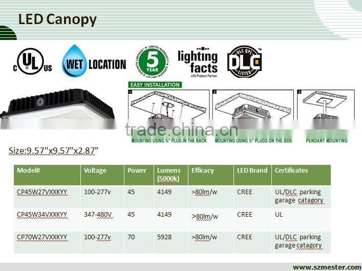 LED High-Output Canopy Light - Neutral White, Dark Bronze - 6000 lumens IN STOCK LED High-Output Canopy Light - Neutral White, D