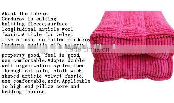 Palace Health Care Pillow