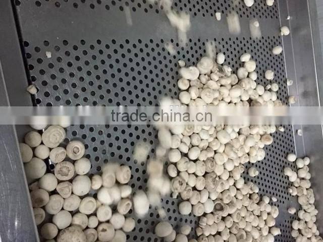 wholesale frozen champignon mushroom