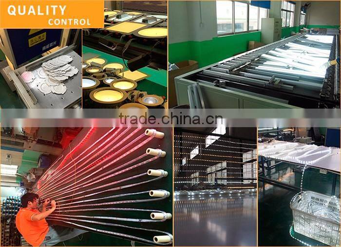 Hot sales 220V Crystal Blue LED Rope Light