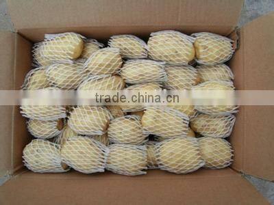 New crop potato stick with high quality