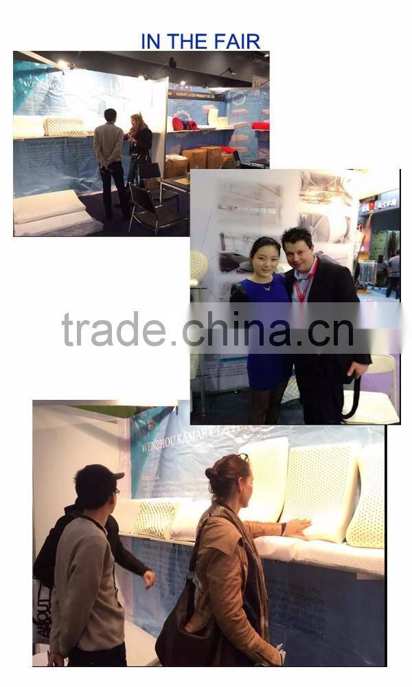 100% Thailand Natural Latex Factory Pillow