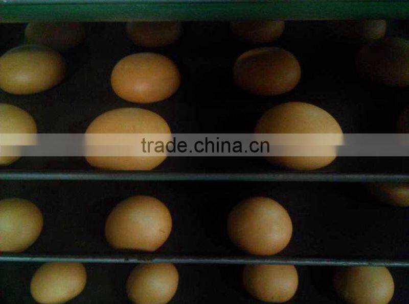 KH bread Production Line/bread machine