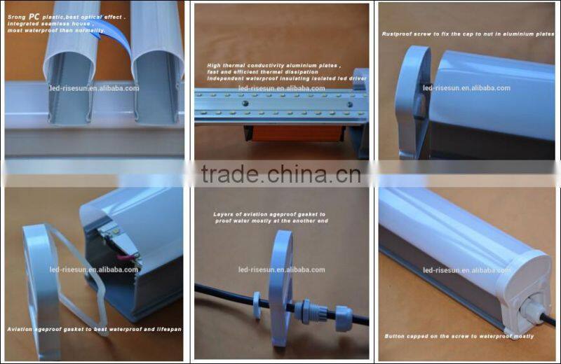 ROHS Certificated High Lumen LED Tube Fluorescent Light Fixture