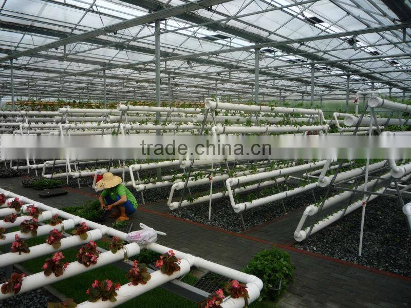 hydroponic NFT growing system greenhouse