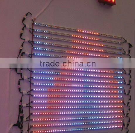 48pcs SMD5050 Led digital RGB Madrix DMX light bar from China, 12V