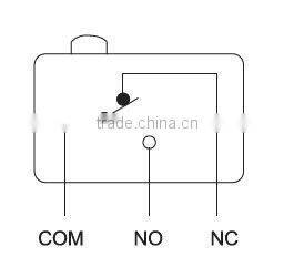 cross roller lever micro switch snap action switch RZ-15GW54S-B3