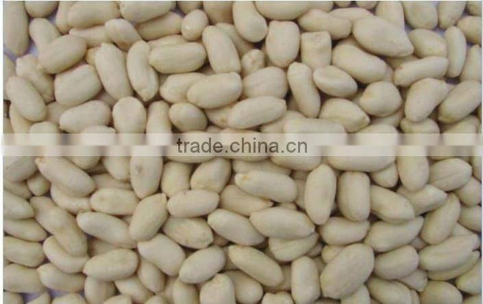 BLANCHED PEANUT 80/90