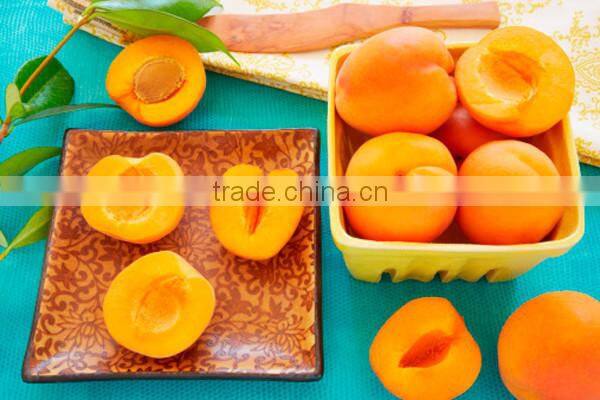 Industrial fruit corer peach corer