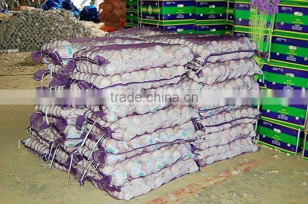 Fresh Garlic Global Foods health against cancer