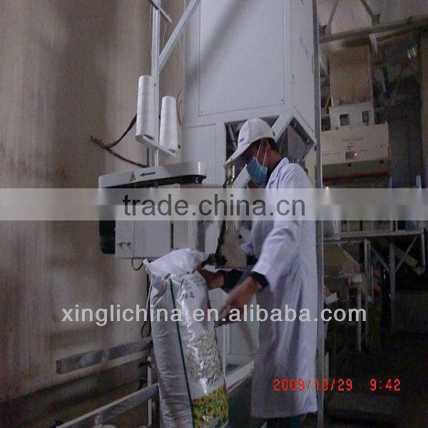 2014 black sunflower seeds 5009