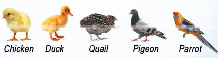 1000pcs commercial egg incubator,pigeon egg incubator for sale