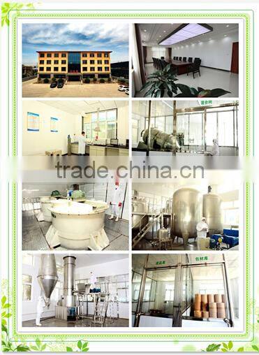 Best Seller Water soluble Chitosan