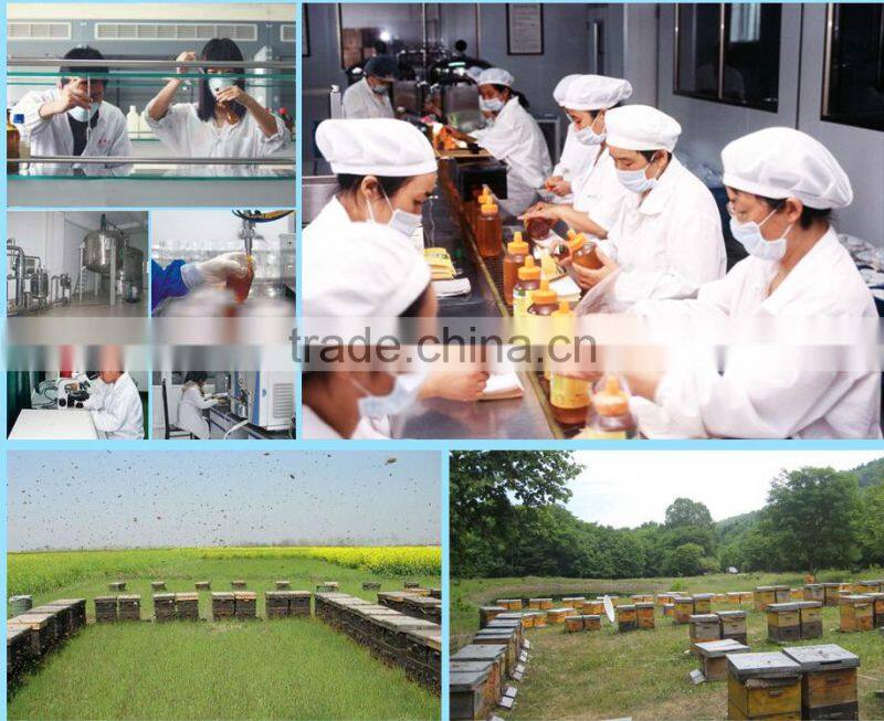 pure green propolis powder bulk from beekeping supplier