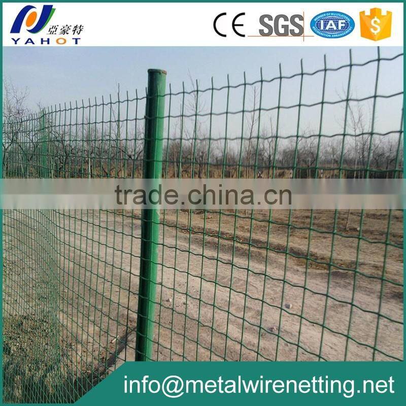 Plastic Coated Welded Holland Wire Mesh Fence