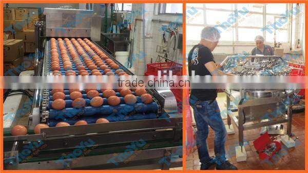 Hot Sale Easy Operation Hen Egg Separation Machine from Thoyu Machinery(SMS: 0086-15903675071)