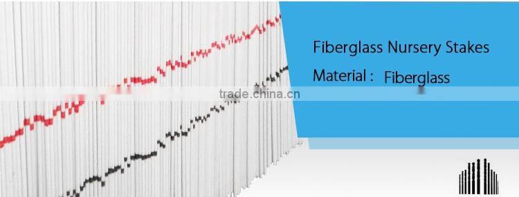 maintenance free cost effective nursery fruit trees