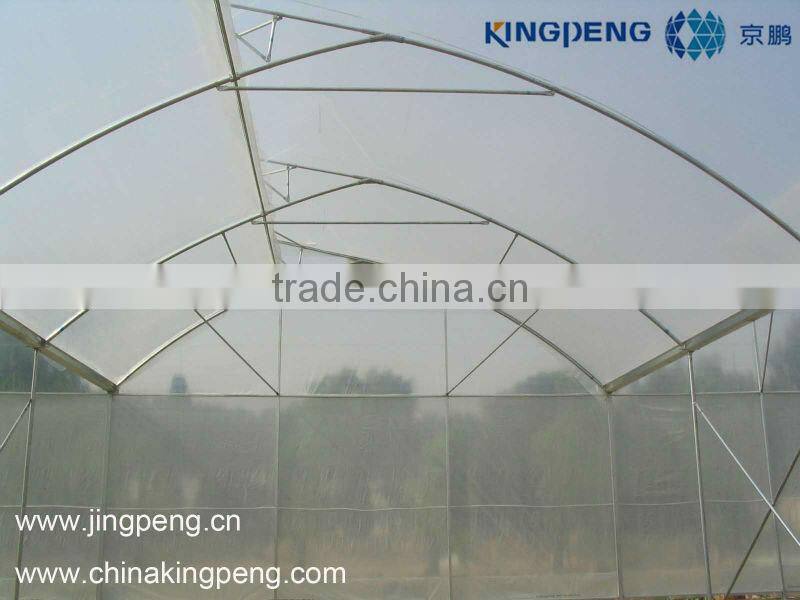 Strawberry plastic film greenhouse