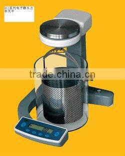 Hydrostatic Electronic Balance