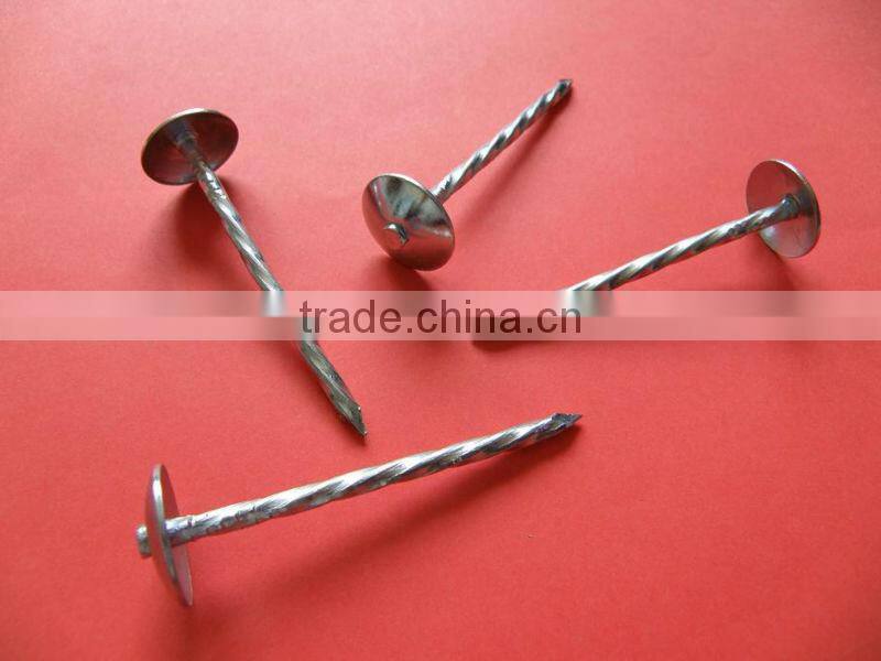 common nail and roofing nail made in China