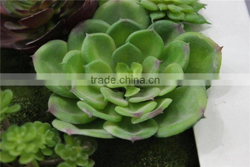 for home garden tiles deco 30*30*7cm paint color indoor artificial succlent boutique plant wall laminate combinations Ejq10 1201